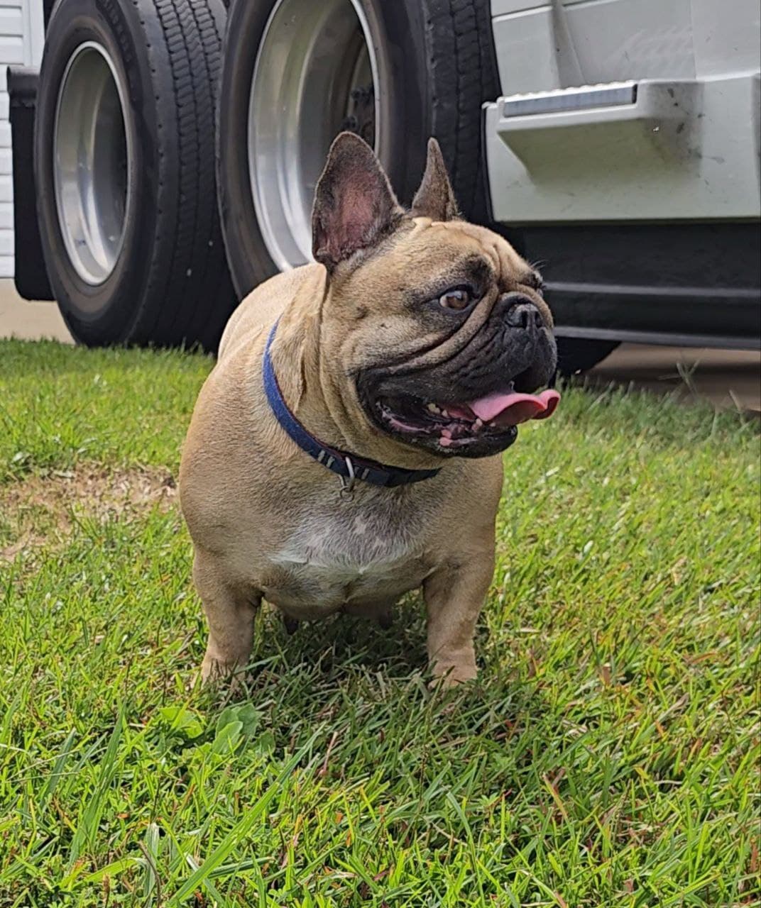 Masha - The Dam (Mother)