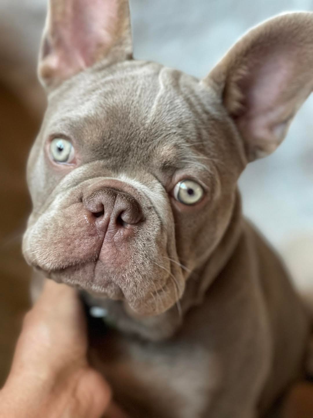 Review from Donna Salyer - Photo 1