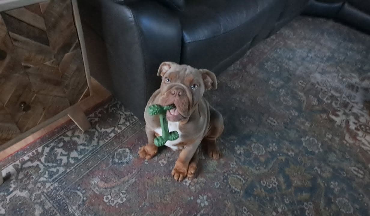 Review from Pamela Webster - Photo 1