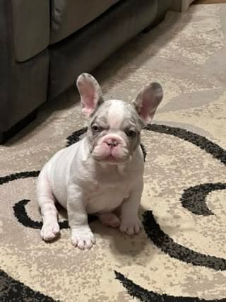 Review from Amanda Traxler Whaley - Photo 1