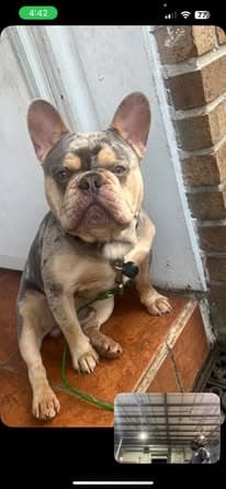 Review from Bailey Moore - Photo 1