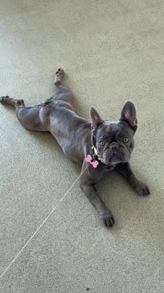 Review from Bailey Moore - Photo 2